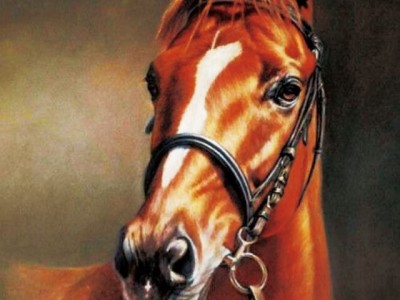 Каштановая лошадь