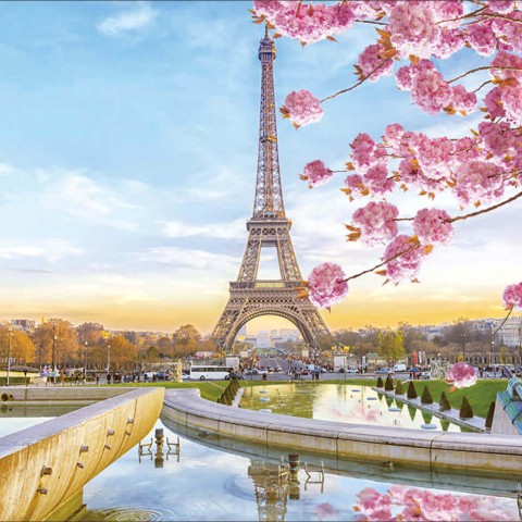 Цветущий Париж