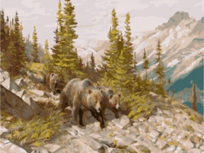 Медведи в горах